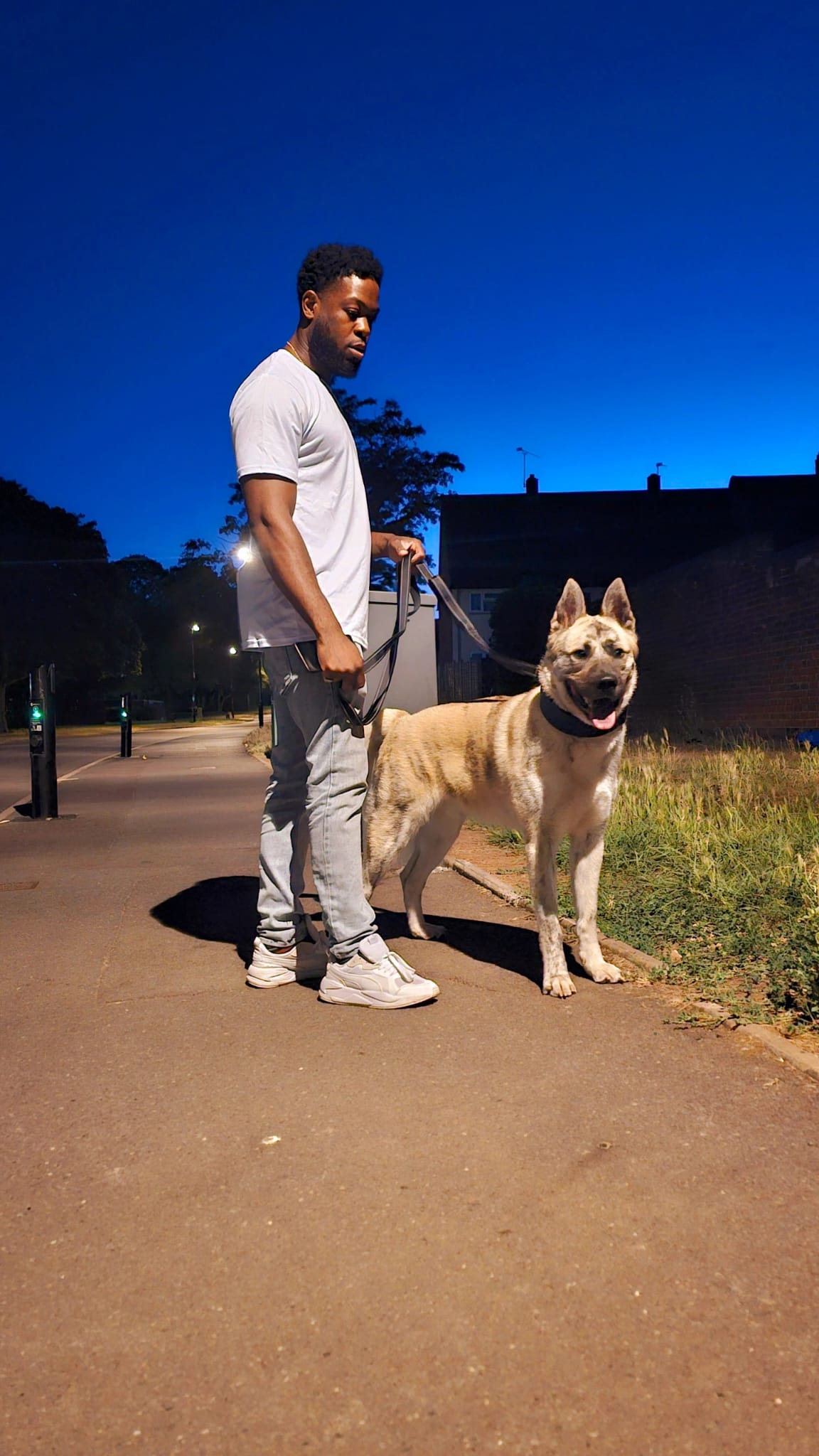 Gavin NextGen Mastiff Training working with large breed dog - specialist dog trainer West Midlands